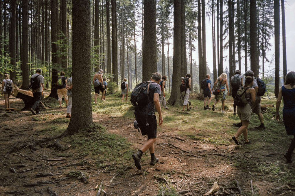 We Have Never Been Forest